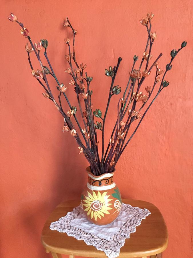 Hacienda Santa Barbara Casa Malinche Hotel Huamantla Eksteriør billede